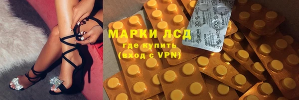 дживик Володарск