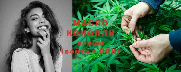 дживик Володарск