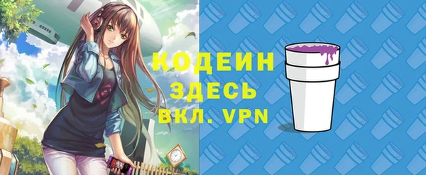 дживик Володарск